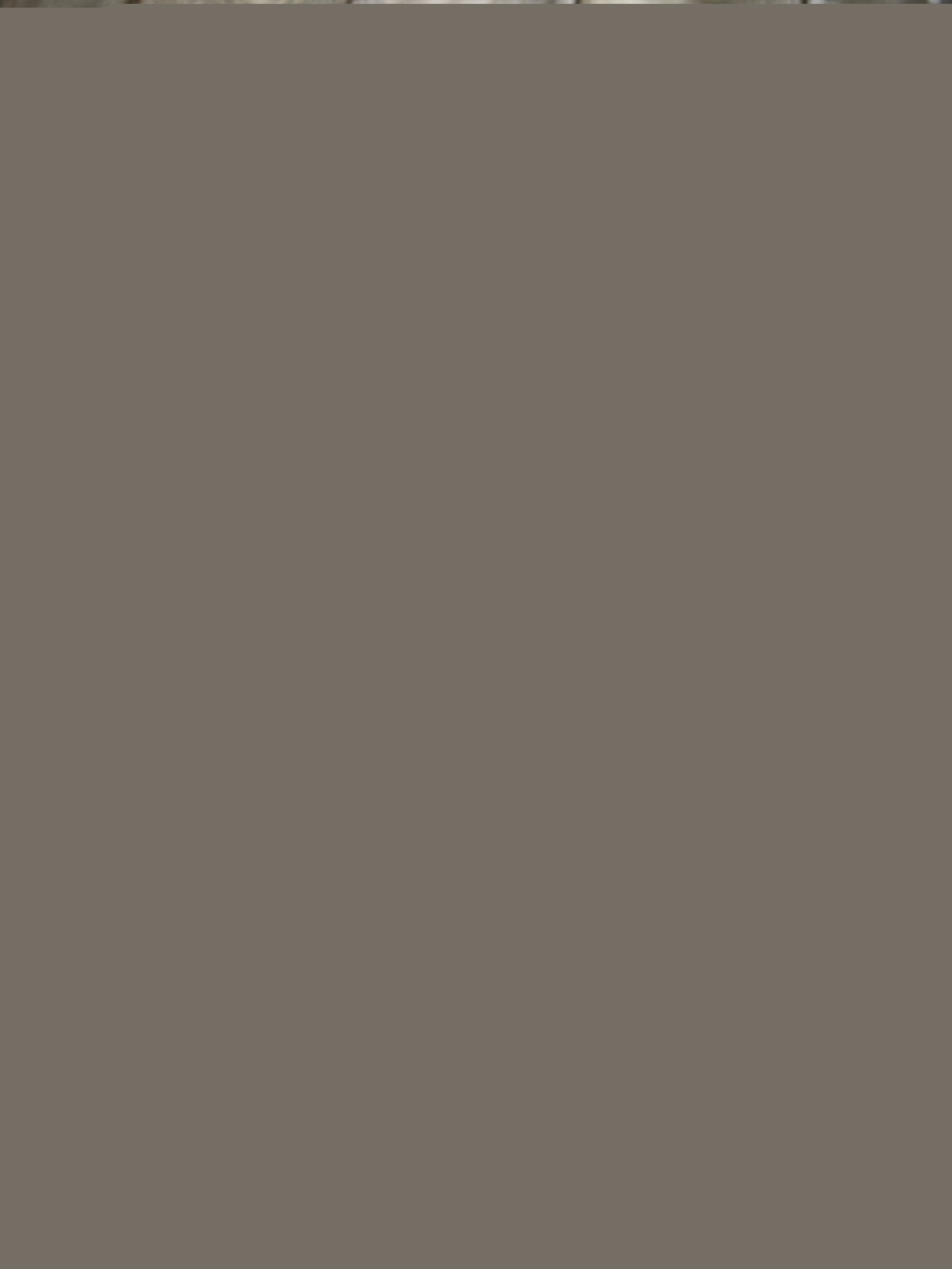 Gorgonzola cremoso A.O.P. Galbani