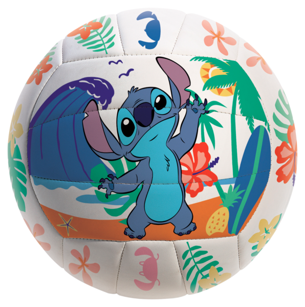 BALLON BEACH VOLLEY  