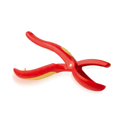 CHEVALIER DIFFUSION - Coupe-chataignes pince la...