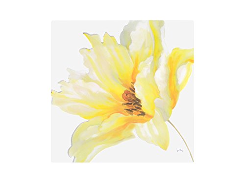 Salt peper poêle avec revêtement anti-adhésif, ...