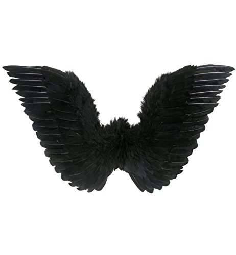 Ailes Noires à plumes