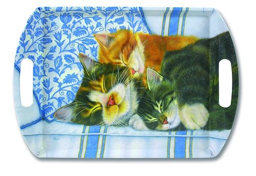 Unbranded 5029039 Plateau à Anse Kitchen Cat As...