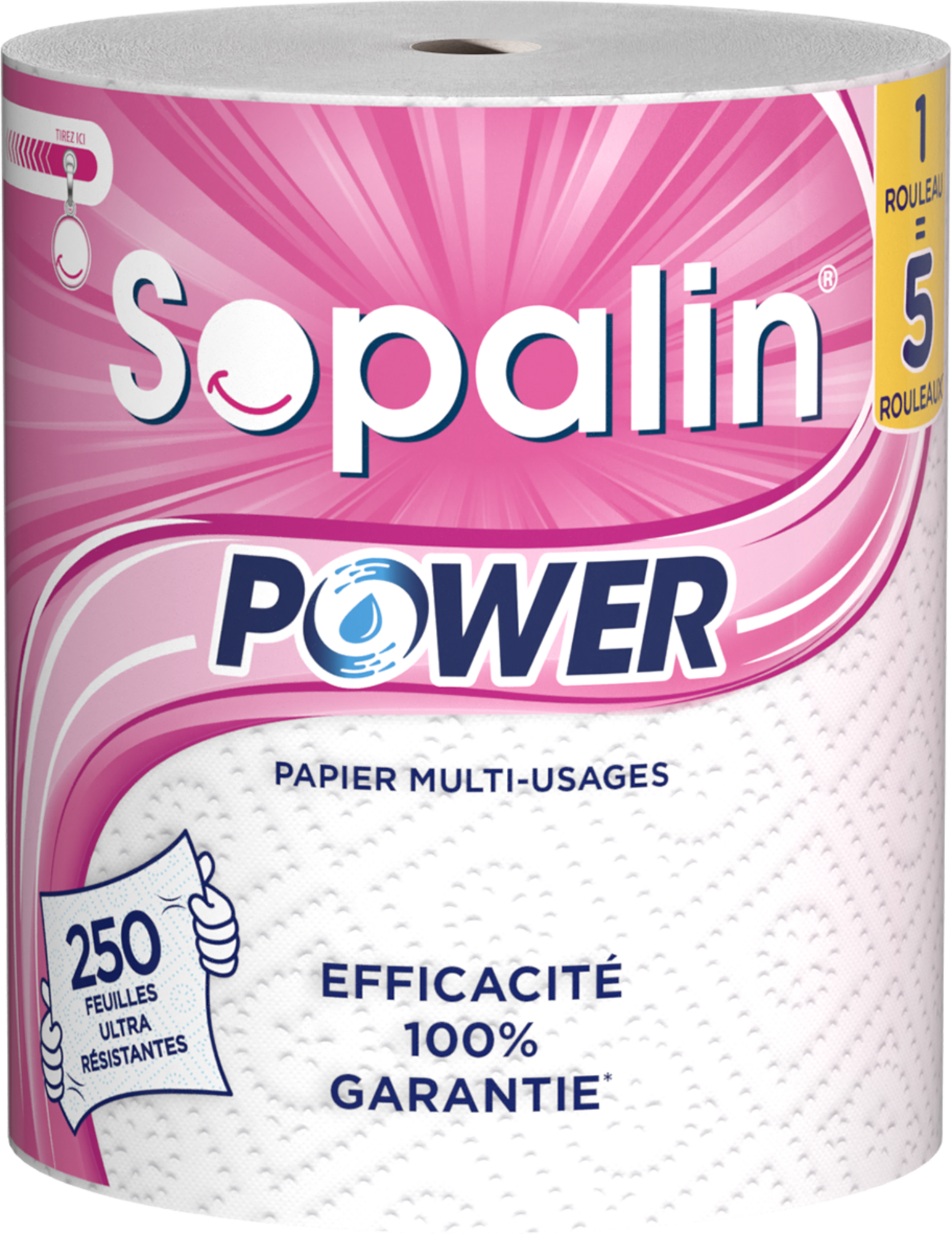SOPALIN POWER ESSUIE TOUT code EAN 8004260006873 