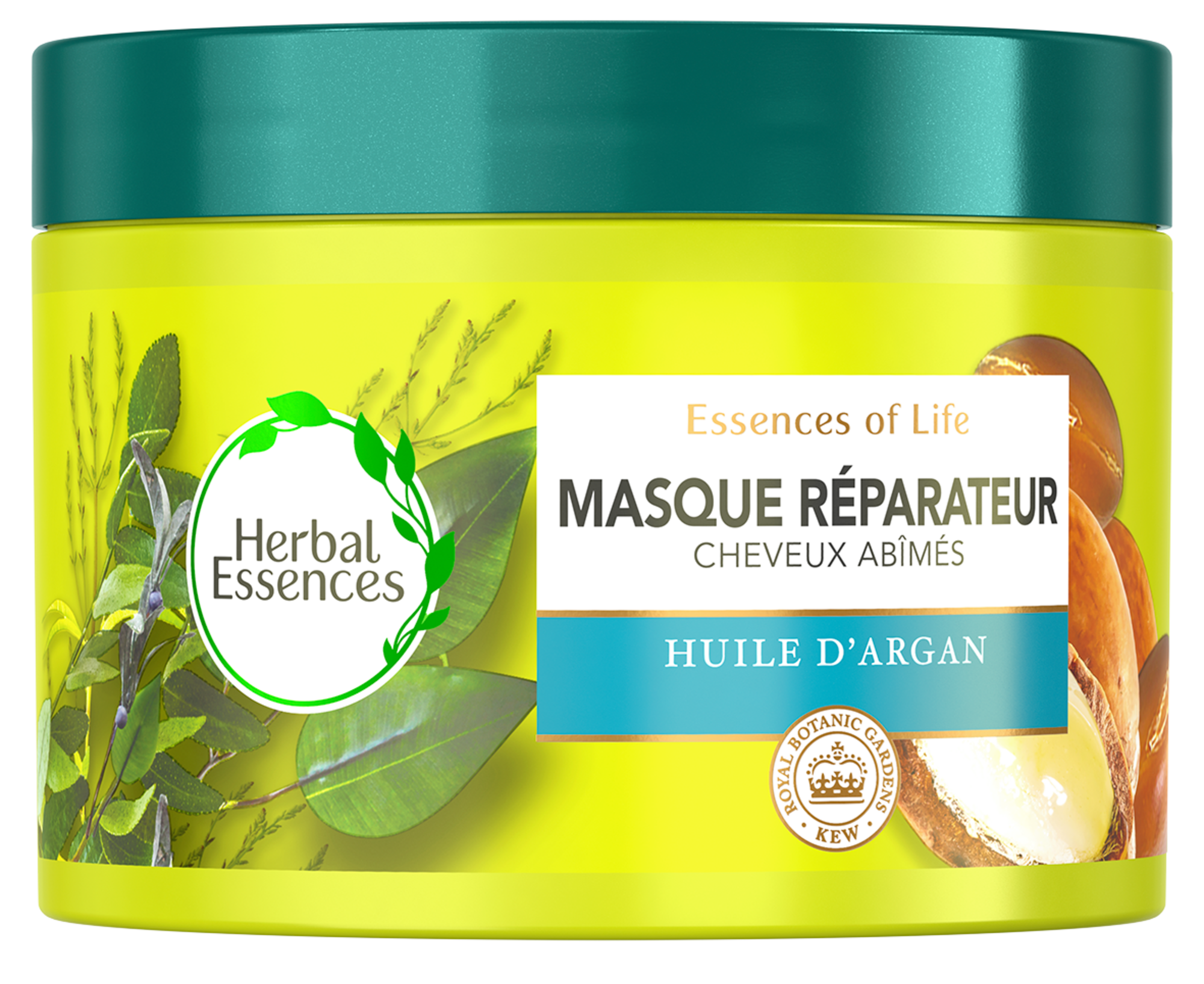 MASQUE CAPILLAIRE