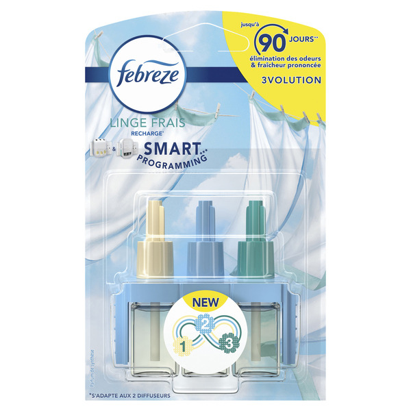 Recharge électrique Smart