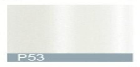 RAPID mm 50 PIÈCES 50 P53-BLANC