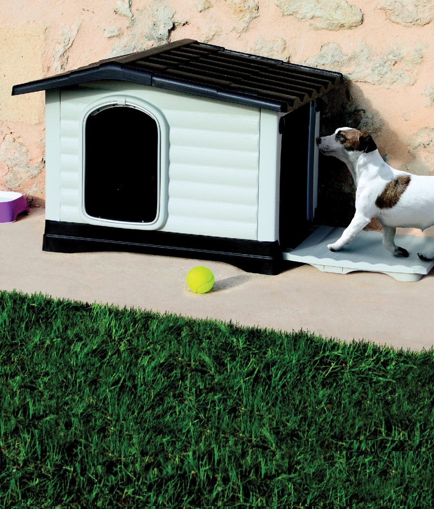 NICHE(2) “DOGVILLA” 