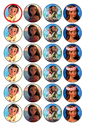 24 x Moana Cupcake Gâteau