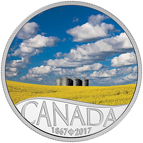 CANOLA FIELD Celebrating 150th Anniversary Silv...