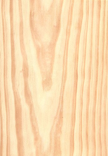 10 feuilles plaque de bois de pin
