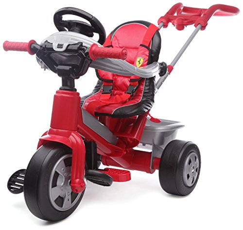 - 800005840 - tricycle - ferrari avec canne