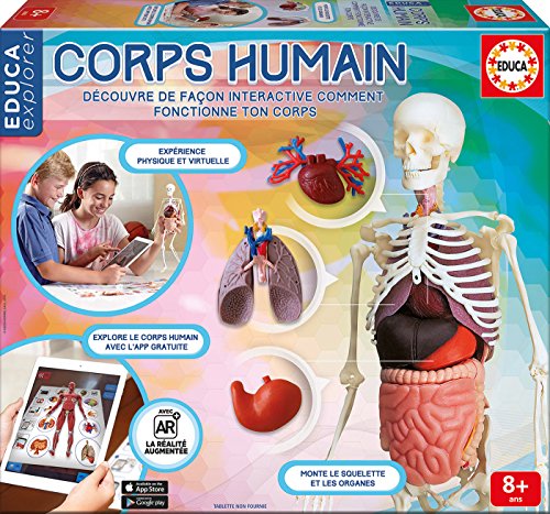 Borrás - 16867 - educa explorer - corps humain