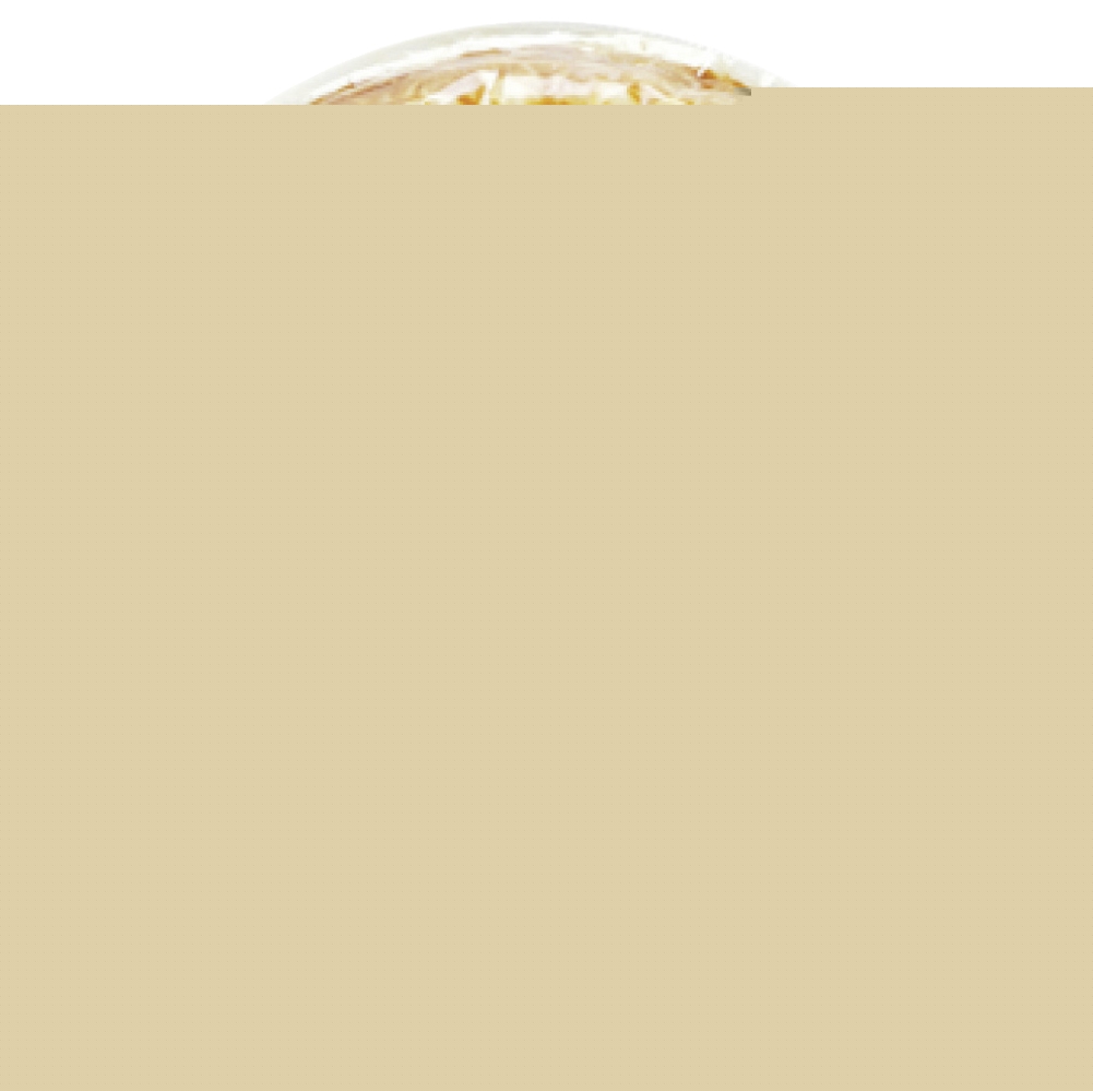 Tortilla aux oignons Te Gusta