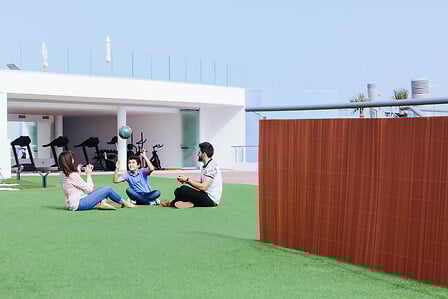 Canisse osier LOP 1 x3m