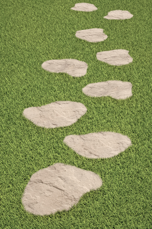  PAS JAPONAIS  code EAN 8431128019025 