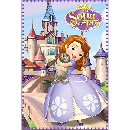 Plaid couverture jeté de lit 100 x 150 cm Princ...