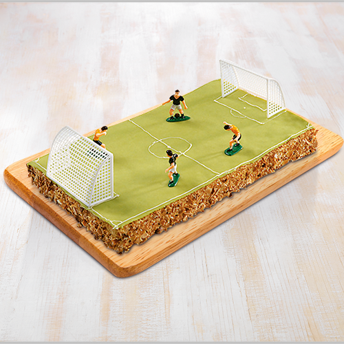  TERRAIN DE FOOT FRAMBOISIER code EAN 8460035 