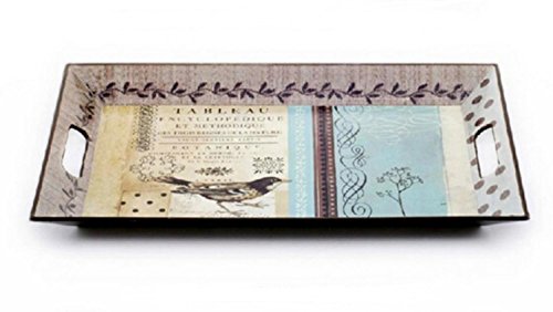 XUHUA Dessins de plateau oiseaux pour décorer des entremets en plastique plateau de fruits plaque plateau café code EAN 8521234542866 