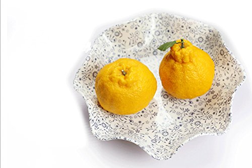 Costume rembourré fruits secs snack-bars KTV pl...