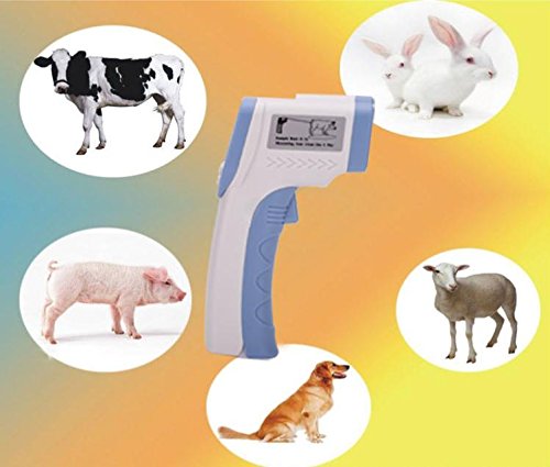 zlj/Chiens Cochons, bétail et moutons Vétérinai...