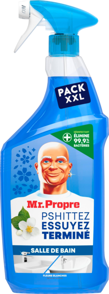  PRODUITS ENTRETIEN SALE DE BAIN EN SRPAY MR PR...