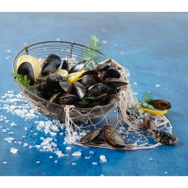  Moules De Hollande code EAN 8710387005261 