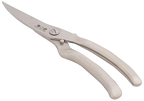 - 619010 - sécateur à volailles et viandes en i...