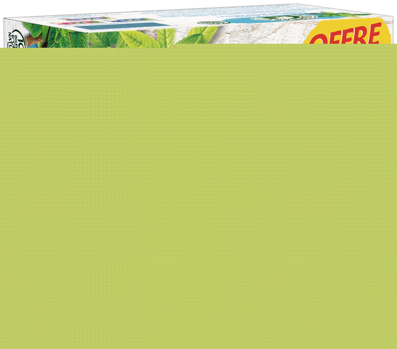 INFUSION DIGESTION LÉGÈRE ELEPHANT