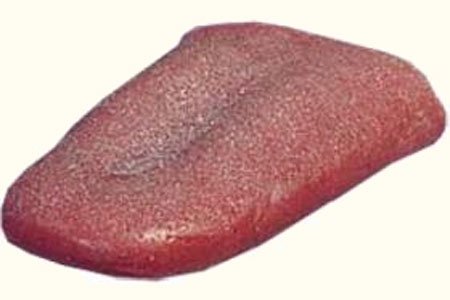 Splatter Tongue Fausse langue élastique code EAN 8712364605938 