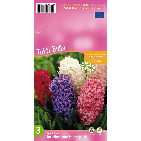 Bulbes À Fleurs 8712496011812 