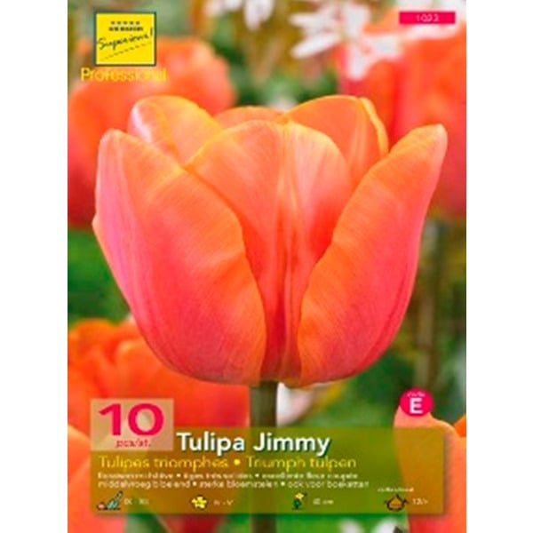  Bulbes D'automne  code EAN 8712496905500 