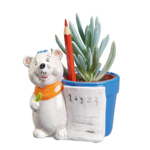 Plantes succulentes et cactus  