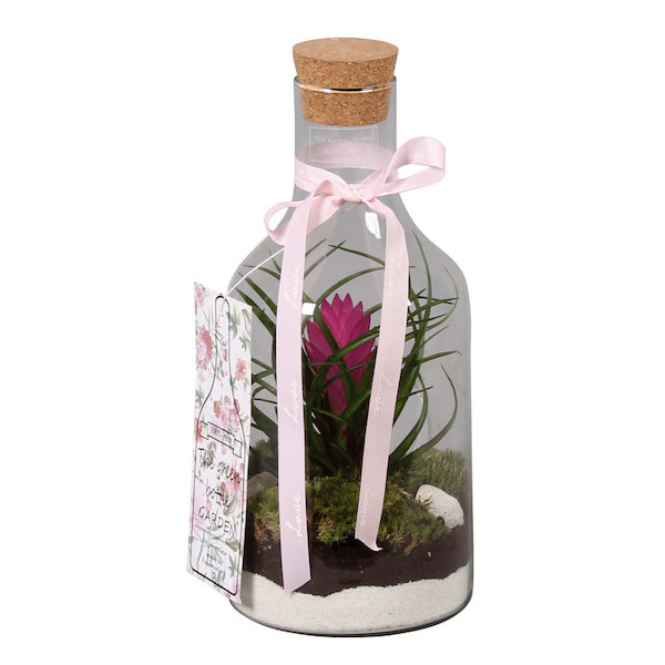 Composition  8713833604711 