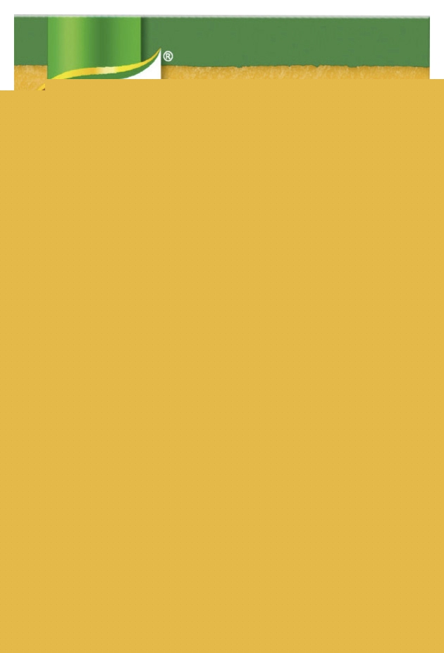 Cup a Soup 8 légumes Knorr