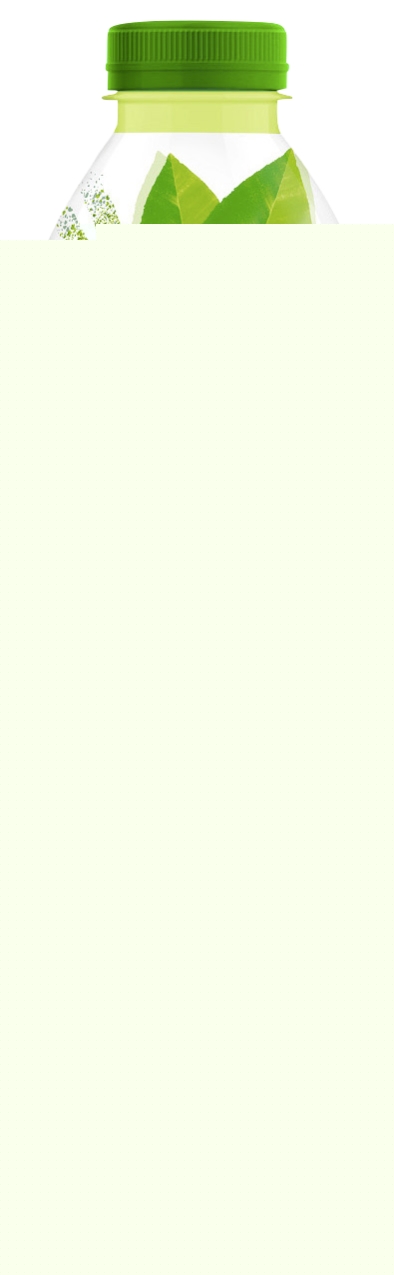 Boisson au thé vert matcha concombre menthe Lipton