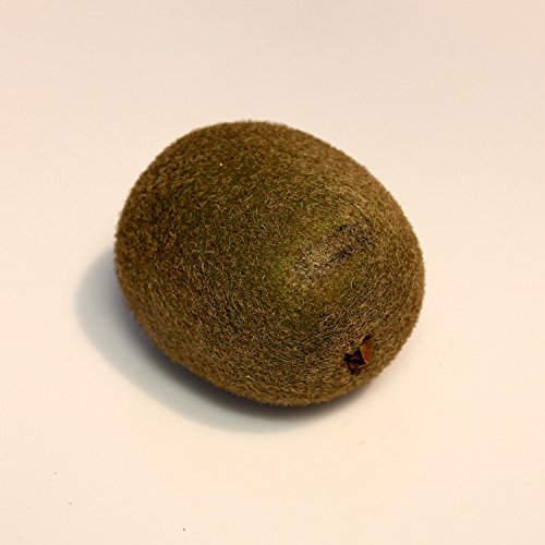 Kiwi artificiel, vert, 6 cm, Ø 4 cm - Fruit en ...
