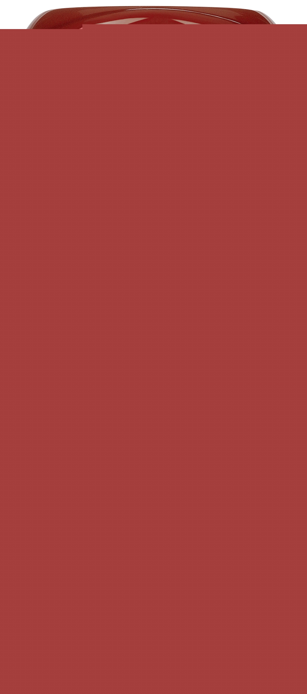 Tomato ketchup Heinz 8715700110189 Heinz Tomato ketchup Heinz 8715700110189 Heinz