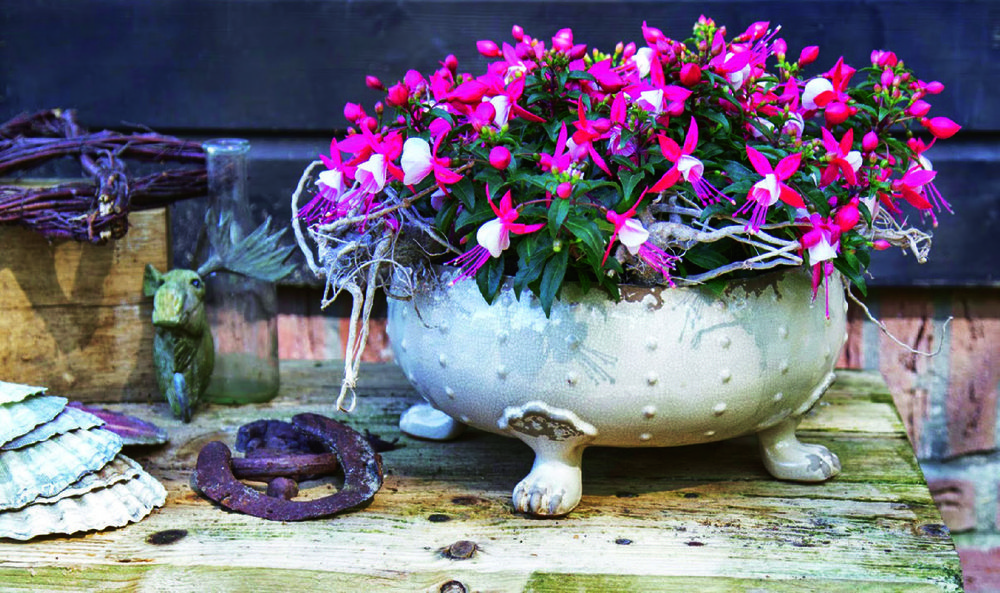  FUCHSIA code EAN 8717191003612 