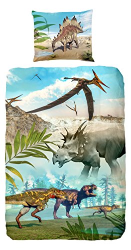 Housse de couette pour lit simple 100% coton av...