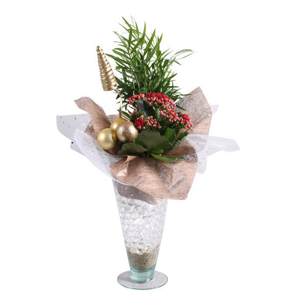 Composition 2 plantes 8717432196356 (8717432196356)
