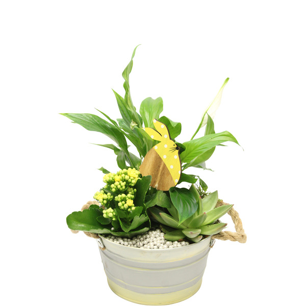 Composition 8717432452537 