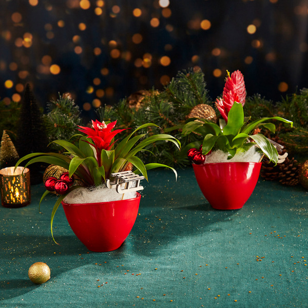  Composition code EAN 8717432454265 