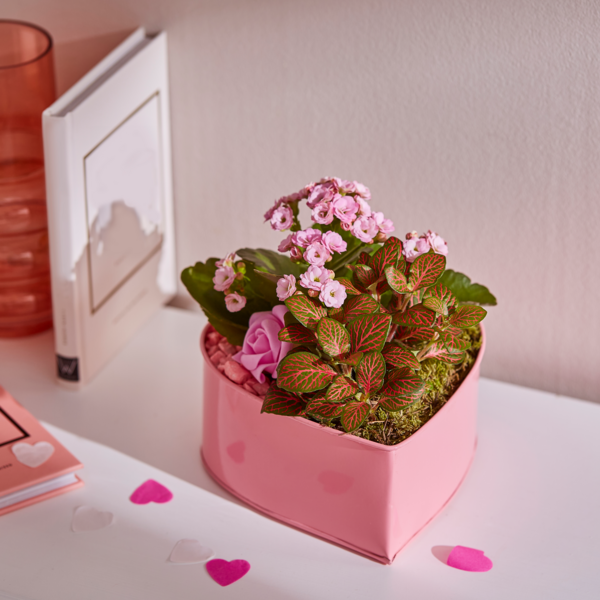  Composition code EAN 8717432509040 