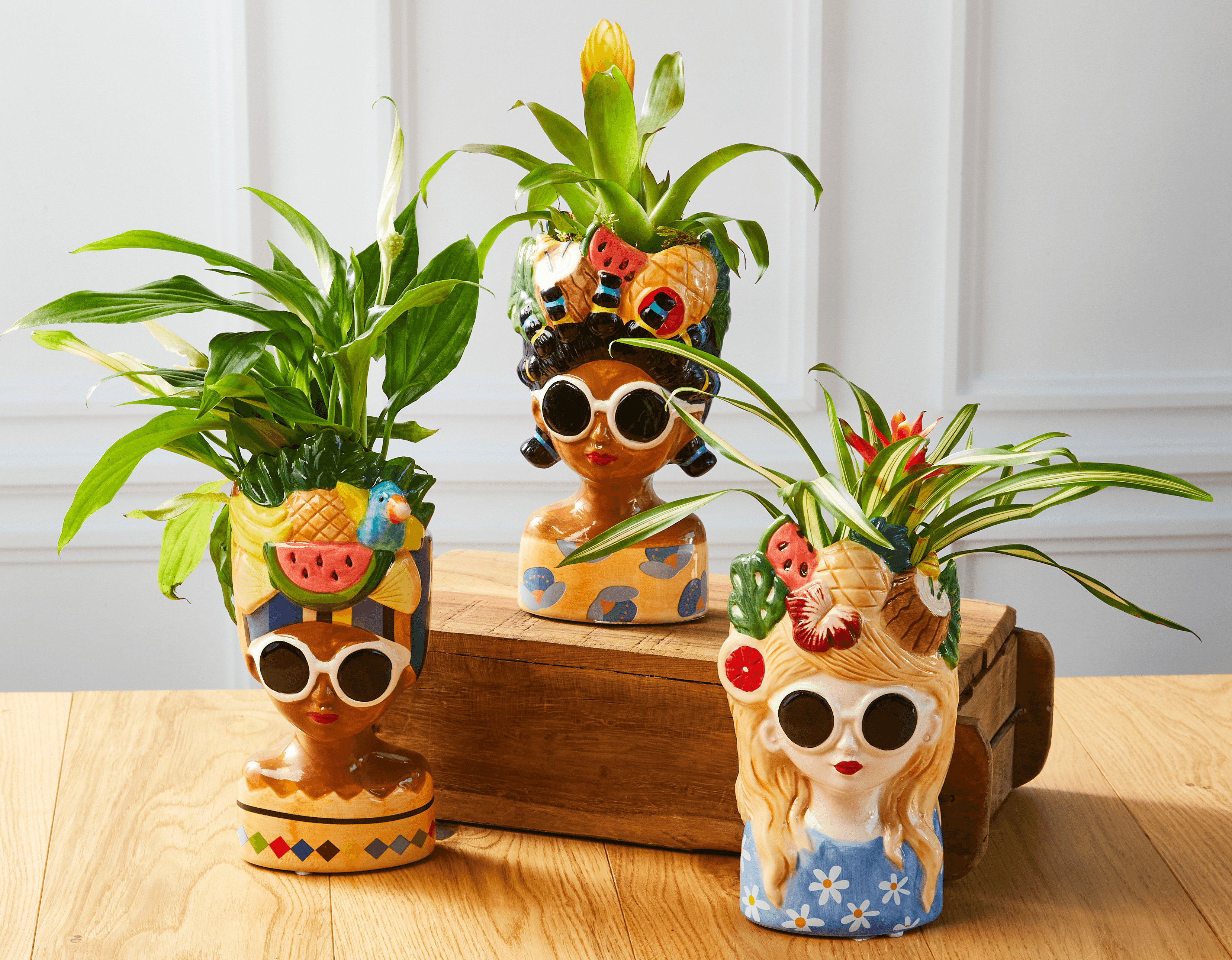  MIXTE SPATHIPHYLLUM ET BROMELIA code EAN 8717929558391 