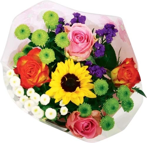 BOUQUET COMPOSÉ 8718103101068 (8718103101068)