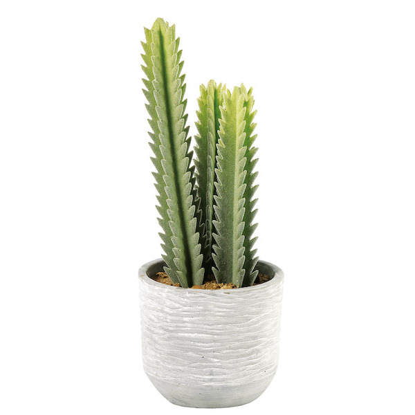 CACTUS ARTIFICIEL 8718317647192 (8718317647192)