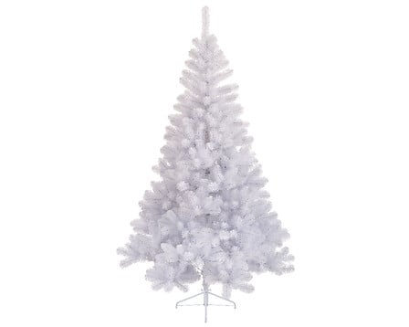 EVERLANDS Sapin blanc code EAN 8718532345002 
