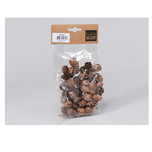 MINI POMMES DE PIN NATUREL 40 G