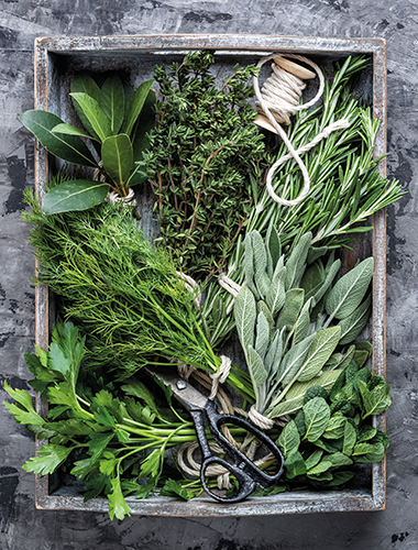 HERBES AROMATIQUES 8718781720643 