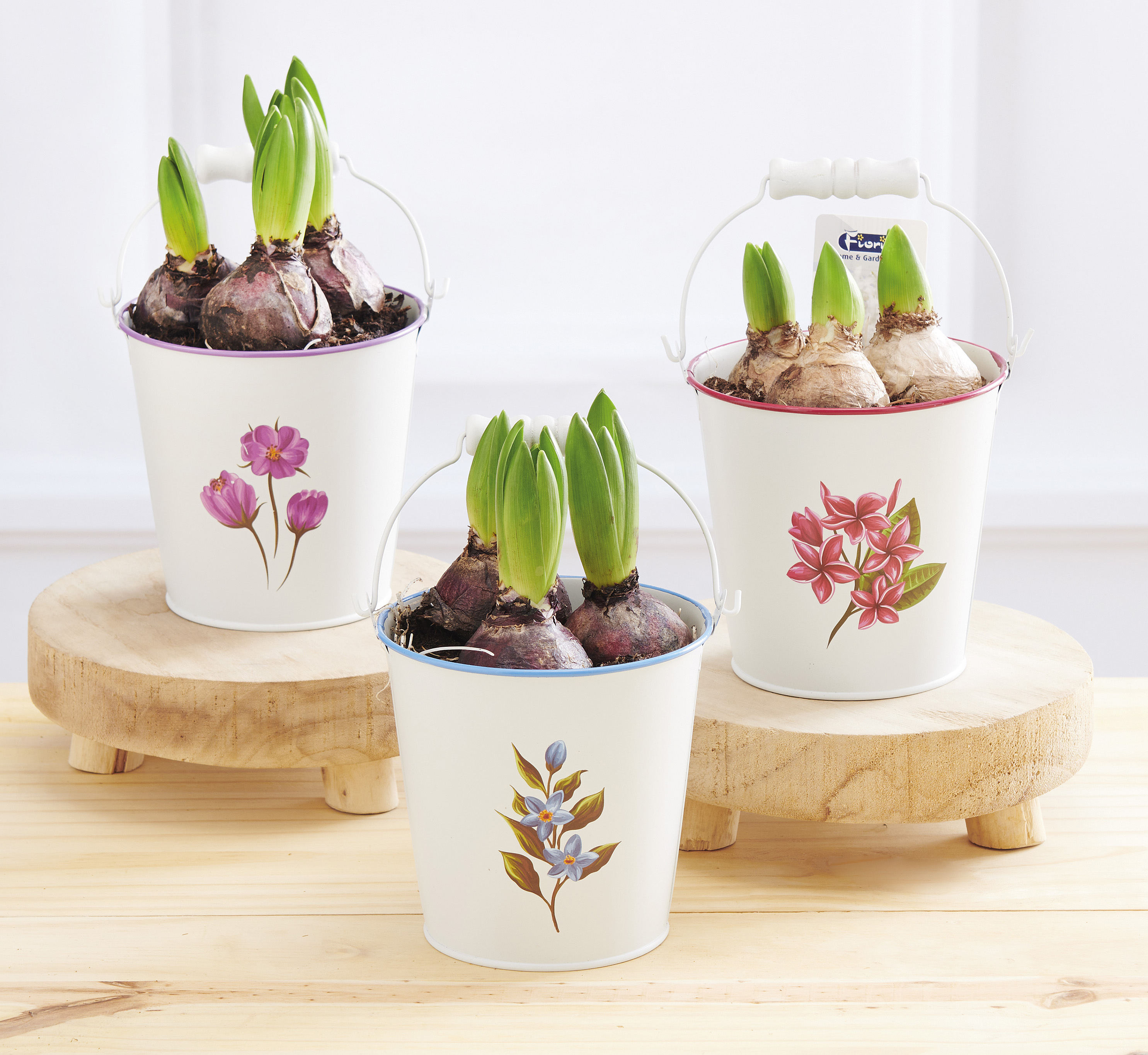  COMPOSITION DE JACINTHE code EAN 8719194538207 